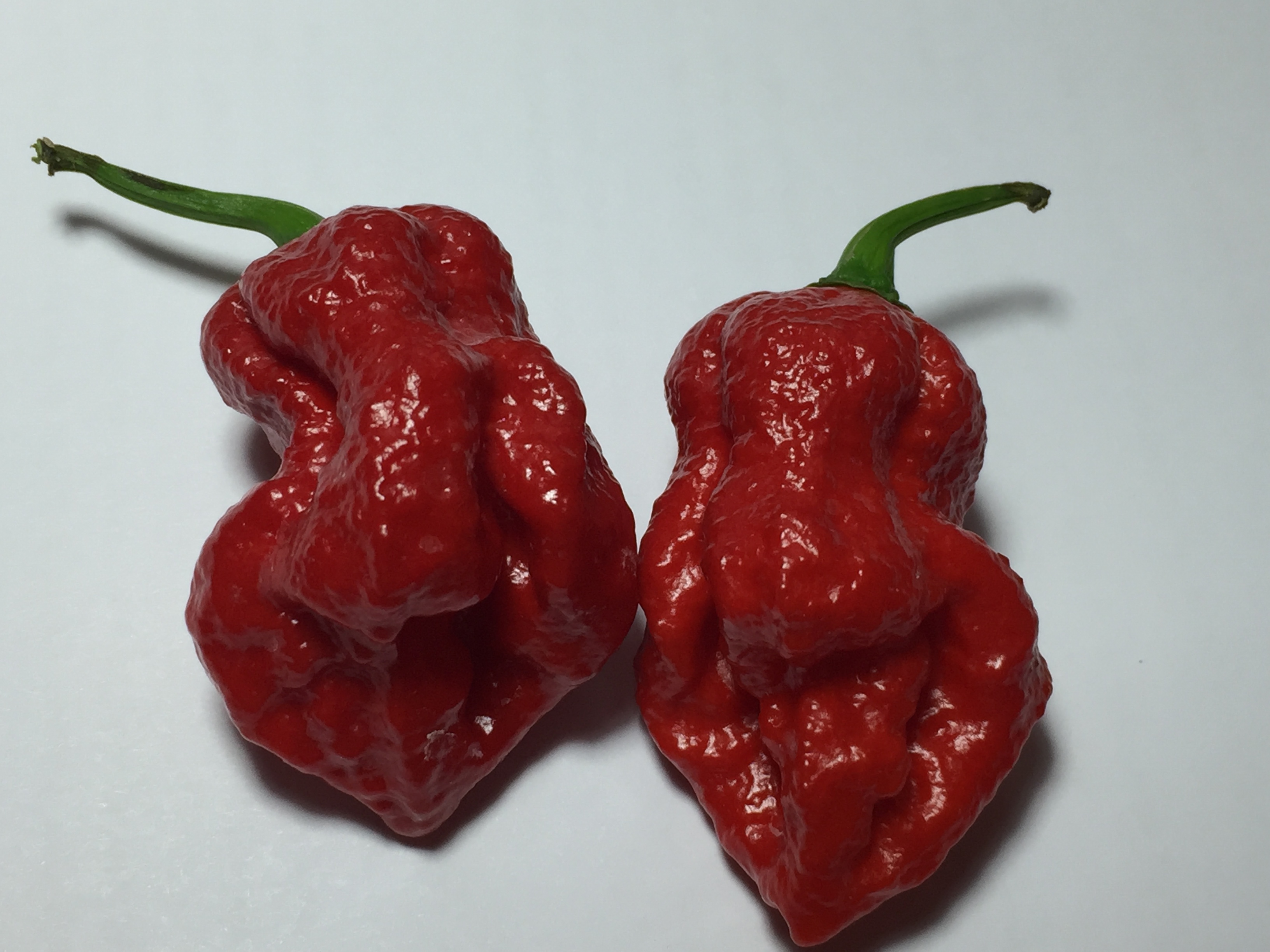 Ghost Pepper Rips Hole In Man’s Esophagus, Collapses His Lung